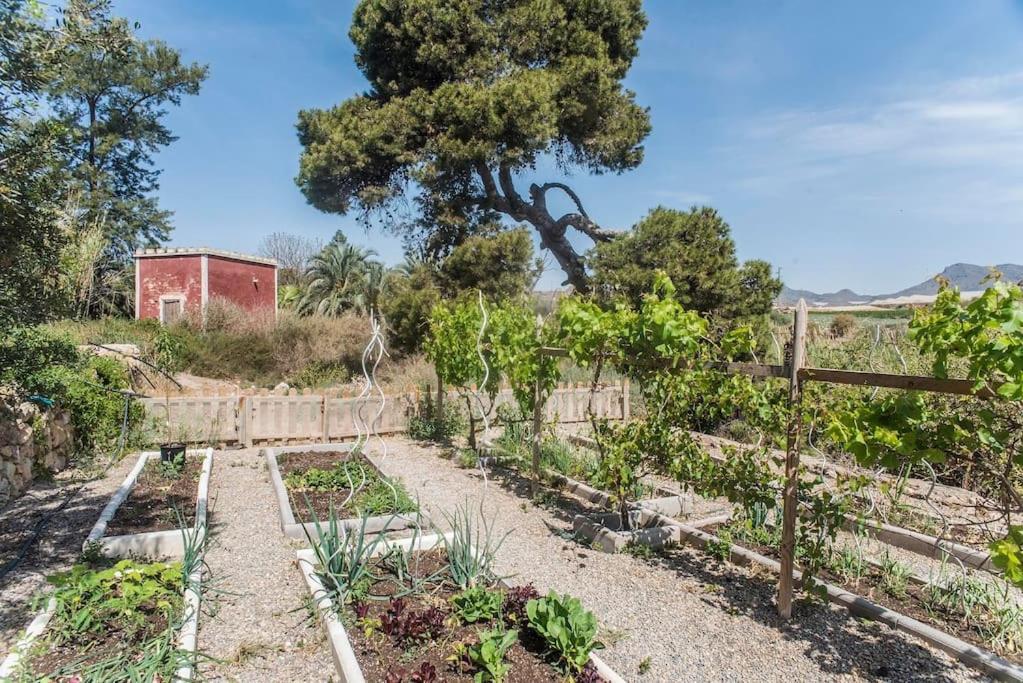Oasis De Ifre Villa Caserío Cañada de Gallego Kültér fotó