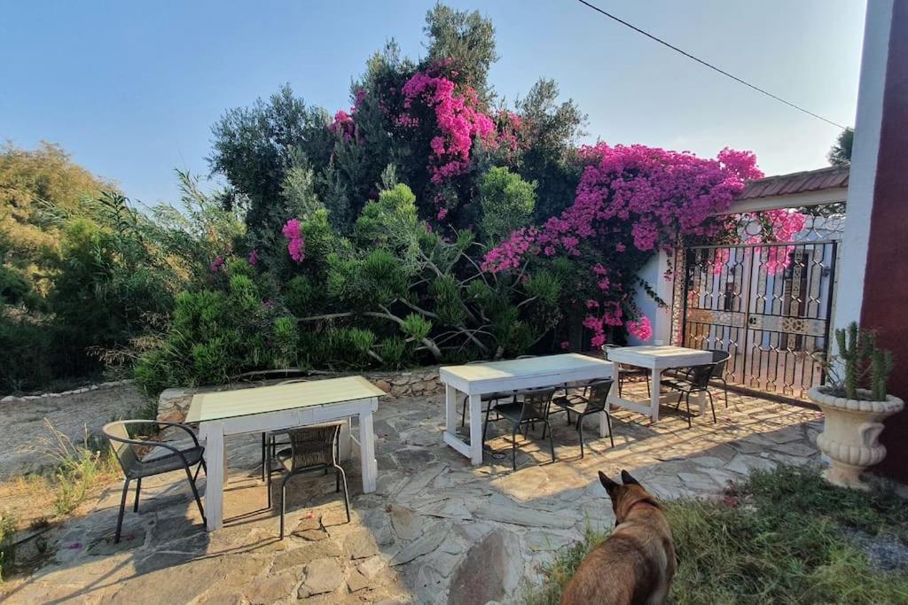Oasis De Ifre Villa Caserío Cañada de Gallego Kültér fotó