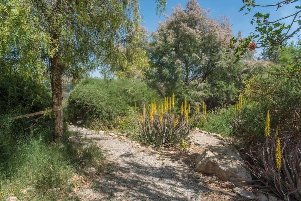 Oasis De Ifre Villa Caserío Cañada de Gallego Kültér fotó