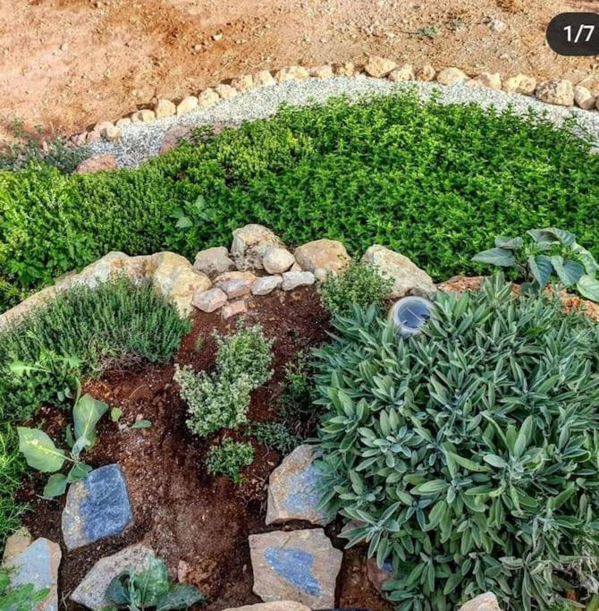 Oasis De Ifre Villa Caserío Cañada de Gallego Kültér fotó